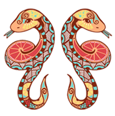 ♊ Близнецы