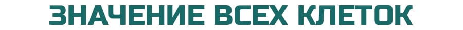 Значение клеток игры Лила