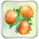 Гадание Три орешка