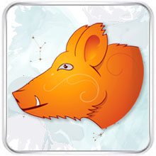 Китайский гороскоп Свинья 2026 год