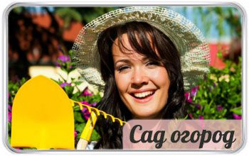 Лунный календарь садовода огородника