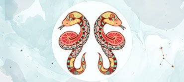 Гороскоп совместимости Близнецы